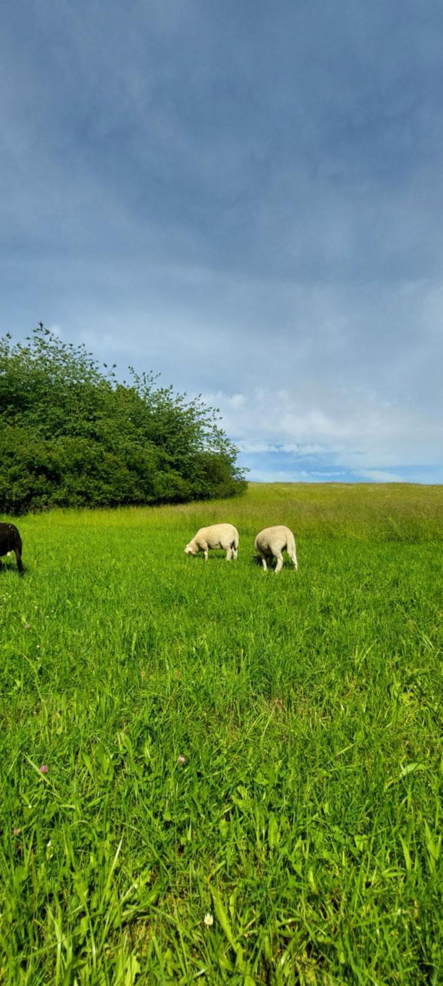 Chata Na Samote, Sumava Vrhavec Esterno foto