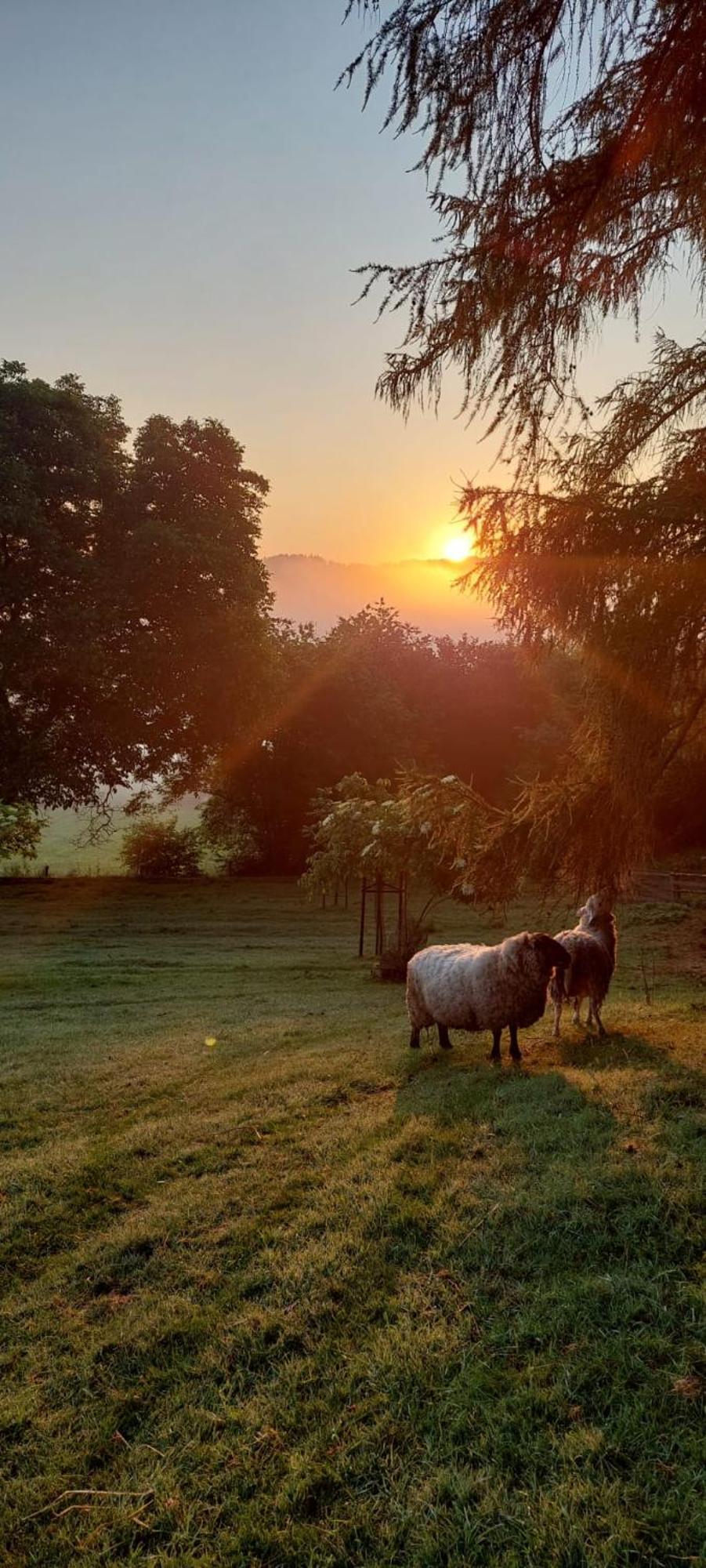 Chata Na Samote, Sumava Vrhavec Esterno foto