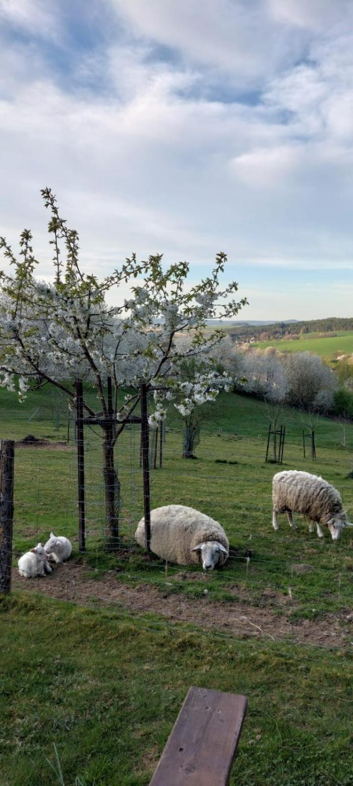 Chata Na Samote, Sumava Vrhavec Esterno foto